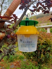 草地贪夜蛾诱捕器