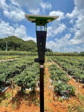 风吸撞击式太阳能杀虫灯